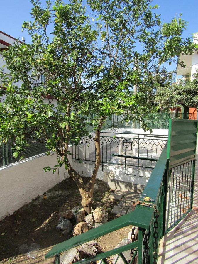 Lucia'S Apartaments บารี ภายนอก รูปภาพ